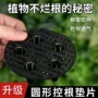 多肉透气防漏园艺网片