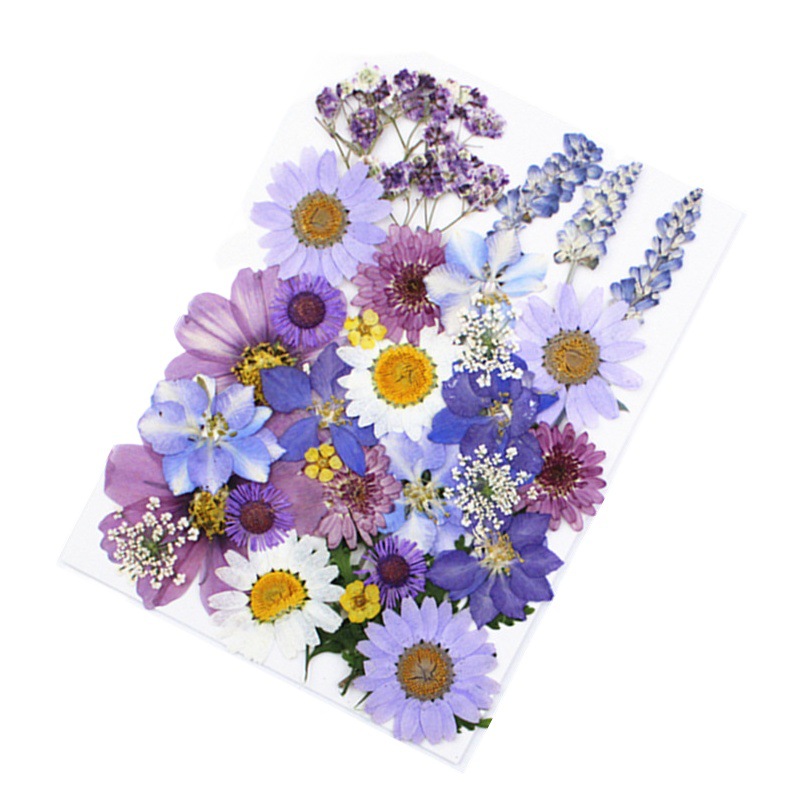 Paquete de material de estampado de flores secas Paquete de combinación de flores presionadas Flor real Hoja de espécimen pegatinas