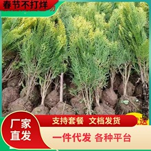 һlؘԵԞSСȰؘĹع