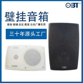 公共广播定压壁挂定压音箱背景音乐喇叭4/5/6/8寸