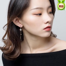 一件代發防過敏高級感耳環女韓版時尚長款耳飾百搭流蘇氣質耳環新
