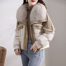 ����ëƤ������Ů2025���¿�Ƥëһ�w���p���q��q���̿�r�к�ɫ