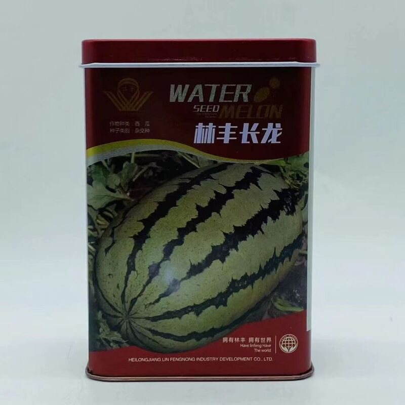 Lin Feng Changlong Large Fruit Oval Watermelon Seeds Are Disease-Resistant and High-Yielding, with a Large Red Flesh, Thin and Tough Skin, and Are Resistant to Cracking and Transportation 80g Lin Feng Changlong Large Fruit Oval Watermelon Seeds Are Disease-Resistant and High-Yielding, with a Large Red Flesh, Thin and Tough Skin, and Are Resistant to Cracking and Transportation 80g