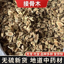 Herbals接骨木中药材 正品公道老马尿骚接骨丹扦扦活 冷背批发大