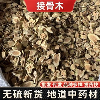 Herbals接骨木中药材 正品公道老马尿骚接骨丹扦扦活 冷背批发大
