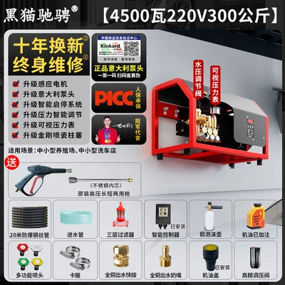 Pump, Car washing machine - italian-brand-pump-head-220v45kw-300kg-pressure-20m-steel-wire-pipe
