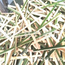 �S�Ҵ�����������׊A����� ��l