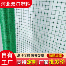 工厂直销PP拉伸网 鼹鼠网 防鸟网 花园网 塑料网塑料网格围栏网