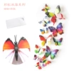 H-003 double-magnet plus glue-rainbow