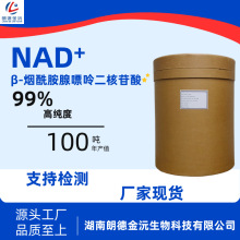 NAD+原粉 β-烟酰胺腺嘌呤二核苷酸 99%  朗德金沅 厂家现货