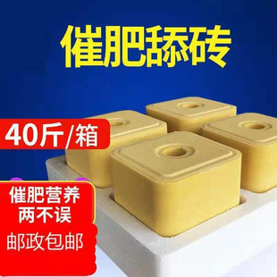 ţ����u�����}�uţ����u΢��Ԫ�ؠI�B�}�K���������ţ�Љ�����