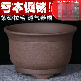 宜兴特大紫砂花盆绿萝盆景多肉种菜兰花盆圆口陶瓷盆