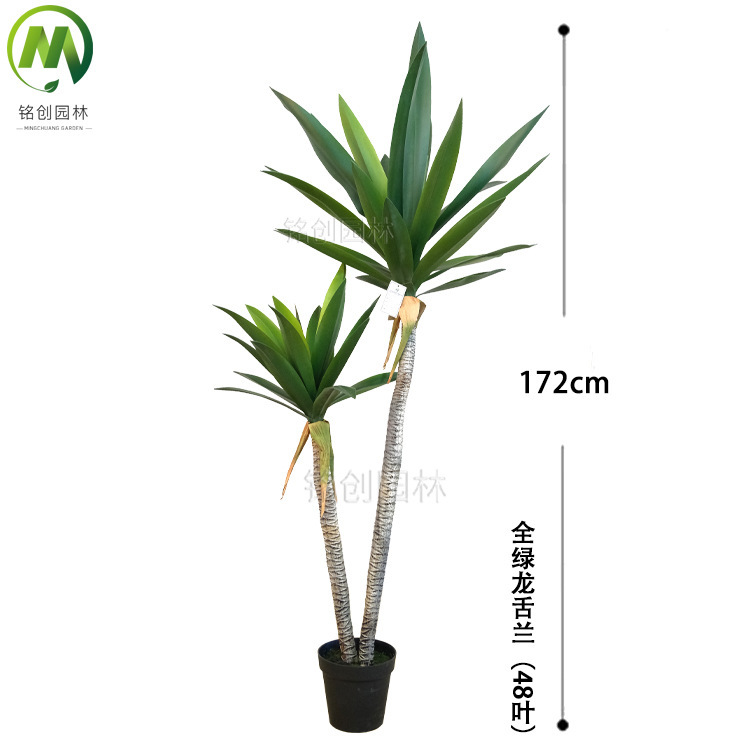 172cm48 hoja todo verde agave