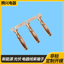 ������^���ӻ�ƿ�������~����βɏ���������ȿ�÷�����ӏS��ֱ�N