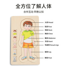 FUM 儿童人体拼板拼图器官骨骼身体认知启蒙早教益智木质玩具