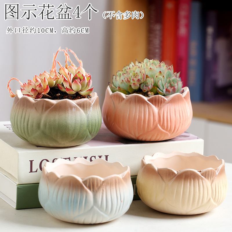 ag 4개의 연꽃