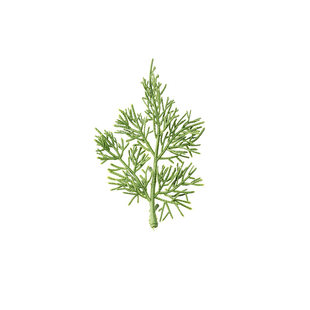 Simulation pine and cypress plant Christmas accessories window Create -made potted plastic plastic grass decorative material plant wall with plant wall