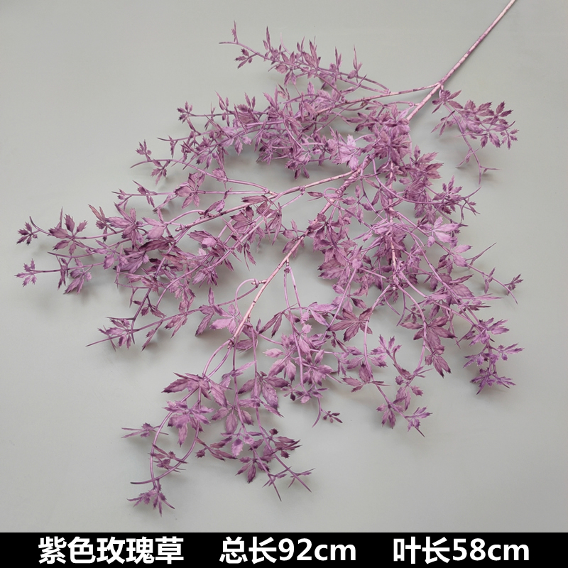 보라색 장미 잔디