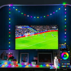 2022卡塔尔世界杯装饰灯 LED氛围灯餐厅酒吧客厅看球道具足球彩灯