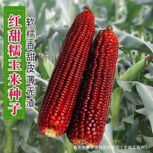 �tŴ���׷N�Ӽt���׷N��ܛŴ����t������Ŵˮ�����׷N�Ӵ�ȫ