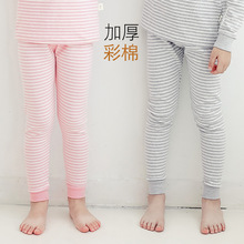 2025男童加厚彩棉秋裤秋冬女童条纹打底裤中大童纯色家居保暖裤子