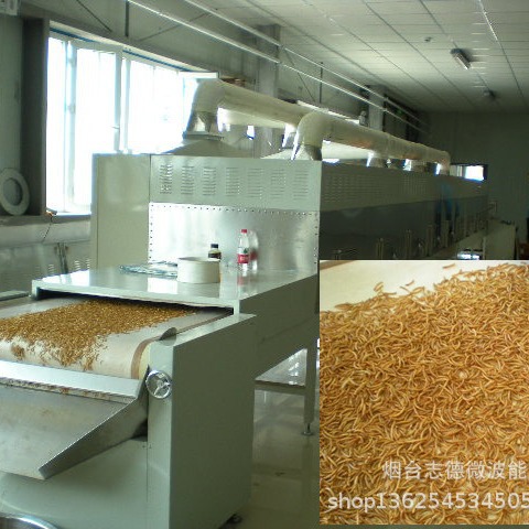 黄粉虫微波烘干设备黑水虻微波烘干设备微波干燥设备工业微波设备
