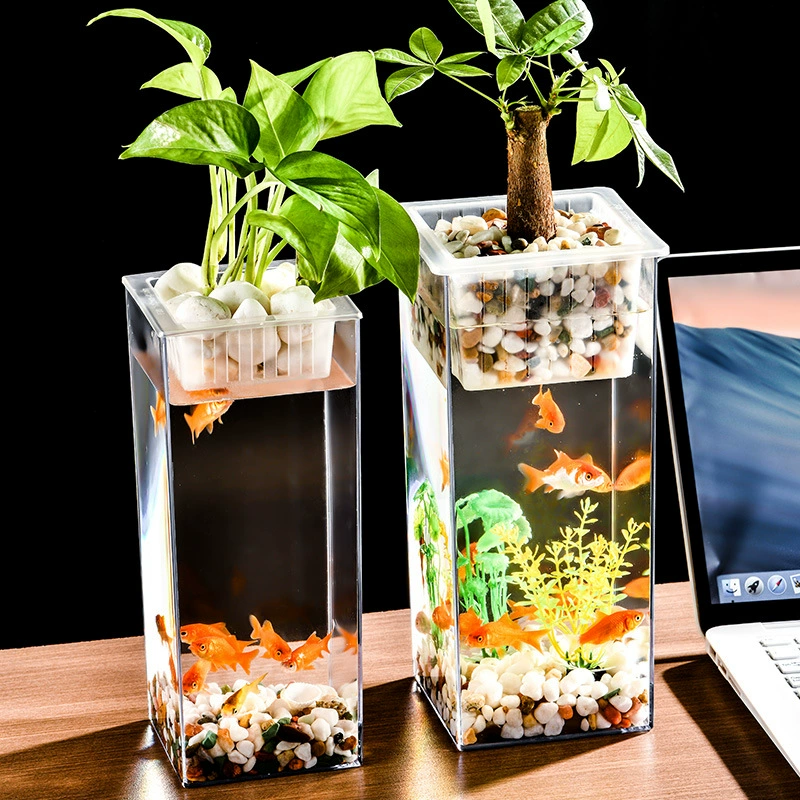 Высокая прозрачная золотая рыбка декоративный цилиндр прямой ваза прямоугольная гидропонное растение сушеные цветы