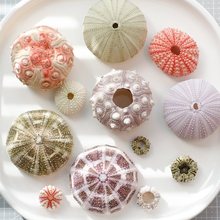 ��Ȼ��đ��ؐ���˱����݄����ֹ�diy�b�đ�����Ͽ՚��P�滨��