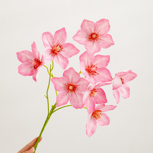 ���T��ˇ���m���ٻ����滨�[���մɻ�ƿ�ײͷ������廨�b߼���