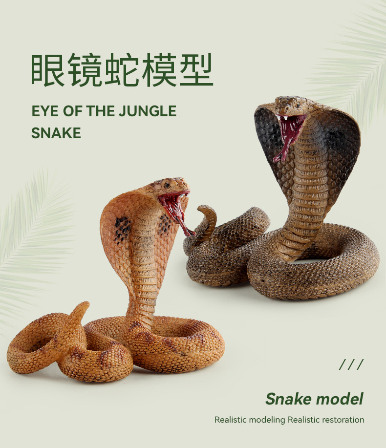 眼镜蛇_01.jpg