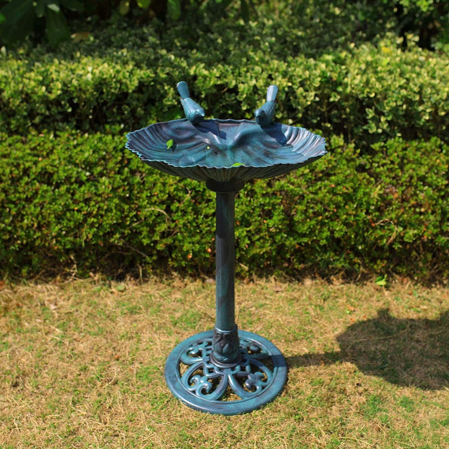 Сад Кормление Птицы Бассейн Сад Птицы Ванна Открытый двор Птицы Питьевой бассейн Сад Птицы Ванна Сад Птицы