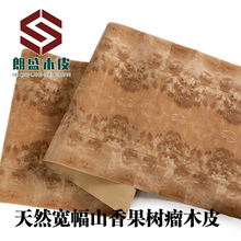 天然山香果树瘤实木皮 黄金樟树木皮 天然树贴皮