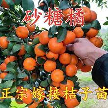 ���ڼ޽ӟo��ɰ���������Ե��ԟo��ɳ�ǽ��Ϸ����������箔��Y��