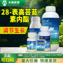 녴�120̦ܿ�؃��� 28����̦ܿ�؃���ˮ��С�����׸������L�{����