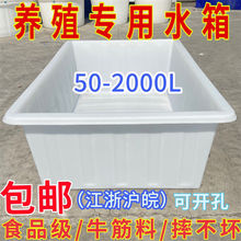 大号加厚牛筋塑料水箱长方形储水桶水产养殖方桶养鱼卖鱼牛筋浅盆