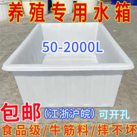大号加厚牛筋塑料水箱长方形储水桶水产养殖方桶养鱼卖鱼牛筋浅盆