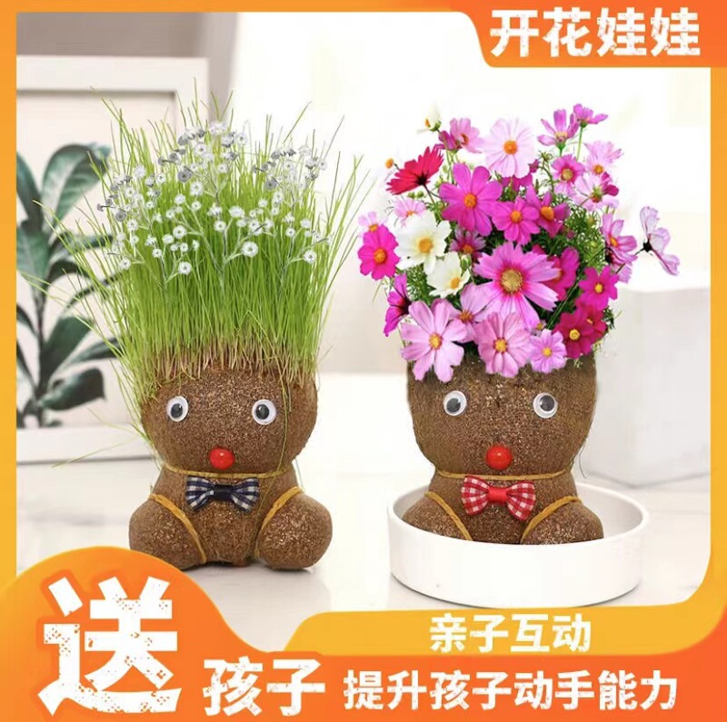Doll with Grass Growing on Its Head, Grass Head Flowers, Children Planting Small Potted Plants, Growing Grass, Green Plants, Observing Plant Growth, Kindergarten Doll with Grass Growing on Its Head, Grass Head Flowers, Children Planting Small Potted Plants, Growing Grass, Green Plants, Observing Plant Growth, Kindergarten