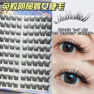 �����Ů�p�W���L���z�ٽ�ë��ϵ��β���L���܁����ë���R�Շ���