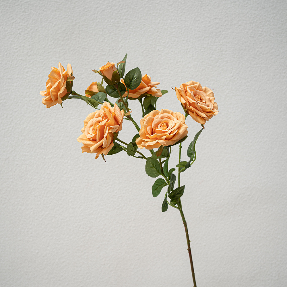 Orange Seven Head Diamond Rose