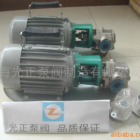 厂家供应光正大流量齿轮输油泵工业离心泵不锈钢油泵电动输送泵
