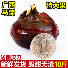 ���ڏV���R��ݩ�j���r�ش��10������������R����ˮ���߲�����