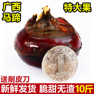 ���ڏV���R��ݩ�j���r�ش��10������������R����ˮ���߲�����