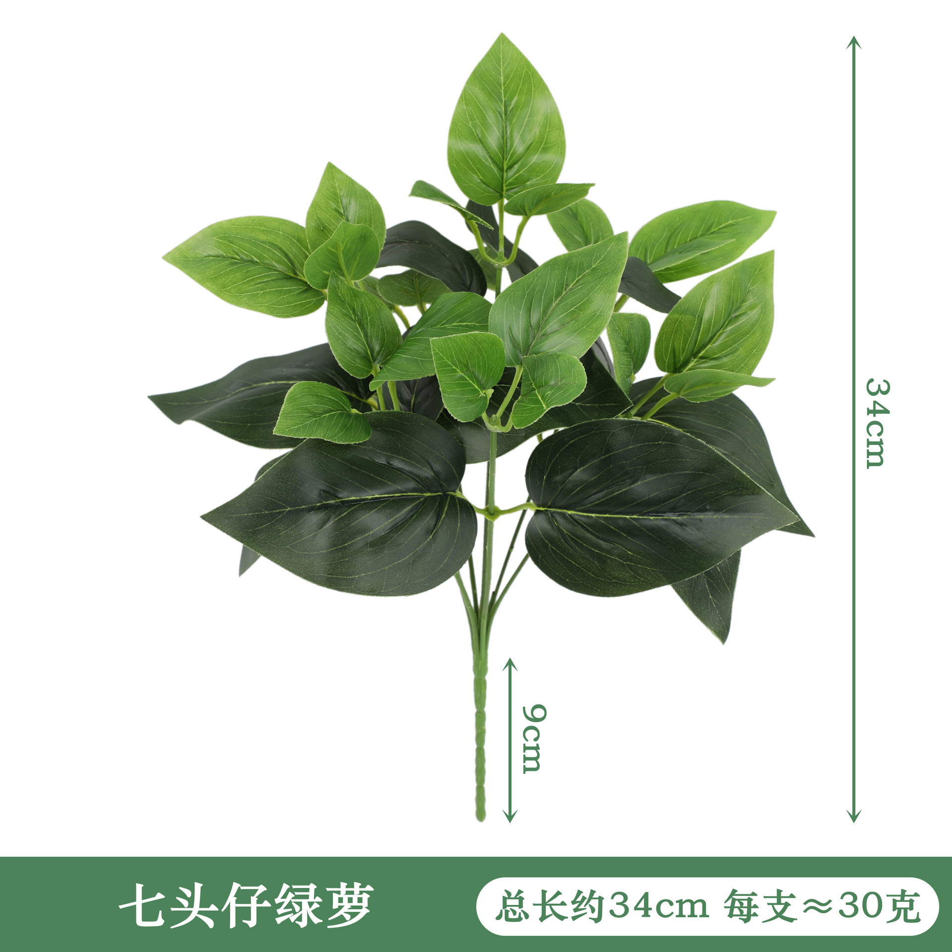 YAL22-160-7 # 일곱 머리 그린 로즈