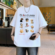 26556�¿�2026ӡ���۷���ض�T�г��Ƴ������ɰٴ�������������