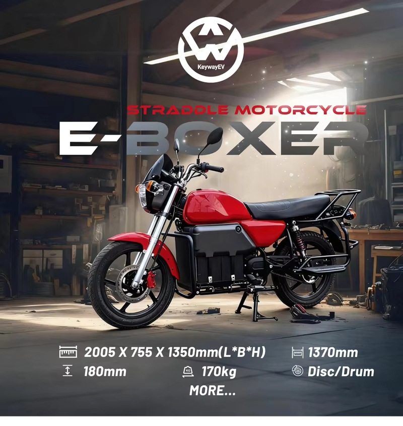 Dual-Purpose Passenger and Cargo Off-Road Electric Motorcycle 2000W 72V Heavy-Duty 100Km/H