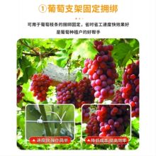 PVC��ͨ�h���F�z���� �Fо���z �@ˇ�����̶����l ���M����