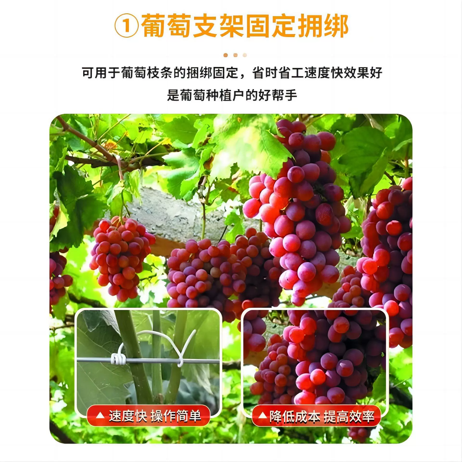 PVC普通环保铁丝扎带 铁芯扎丝 园艺捆绑固定扎条 免费裁切