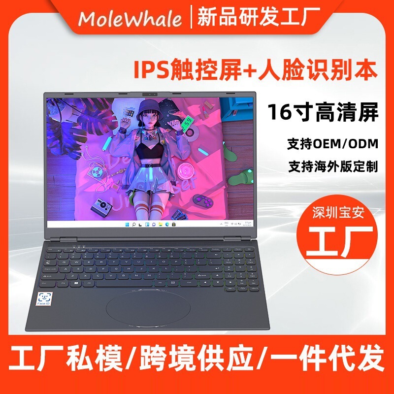 Factory direct supply 16 inch i3-8109U 16G face recognition touch screen business notebook computer cross-border wholesale