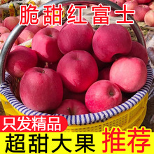 应季新鲜红富士苹果脆甜整箱孕妇冰糖心当季新鲜水果