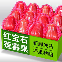 �t��ʯɏ�Fˮ���������rɏ�F��5��Fժ����B�F������S���]3